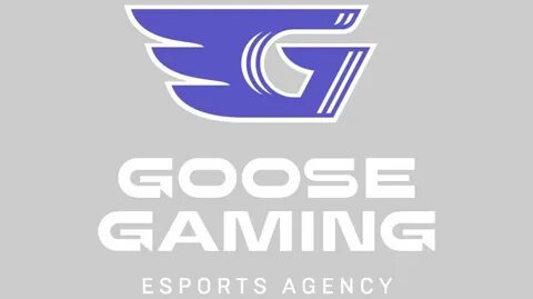 Goose gaming
