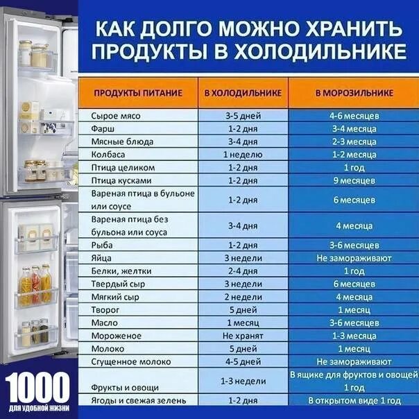 Сколько нужно размораживать холодильник. Хранение продуктов в холодильнике. Сроки хранения продуктов в холодильнике. Продукты хранящиеся в холодильнике. Хранение продуктов в морозилку для холодильника.