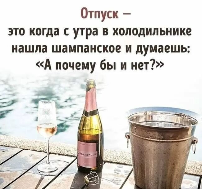 Цитаты про шампанское. Отпуск это когда с утра в холодильнике. шампанское юмор. прикольные фразы про шампанское. фразы про шампанское.