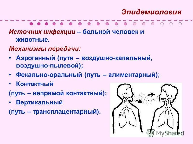 Передача инфекции. Передача инфекции