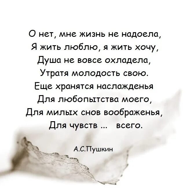 9 жизней стих. Мне надоело жить. Надоела жизнь. Стихи жить хочется. Стихотворение надоело.