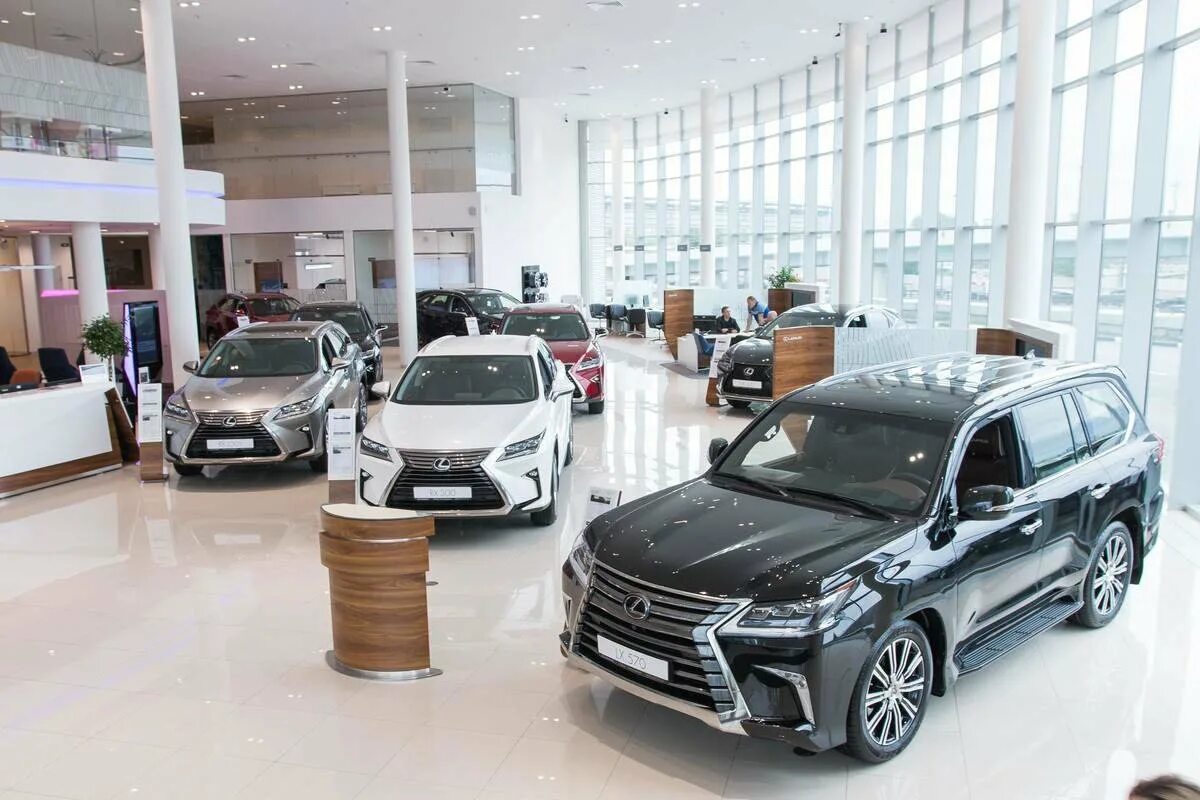 Выкуп авто. Утилизация старых автомобилей. Сдать машину в москве. Выбор автомобиля. Авторазборка автомобилей.