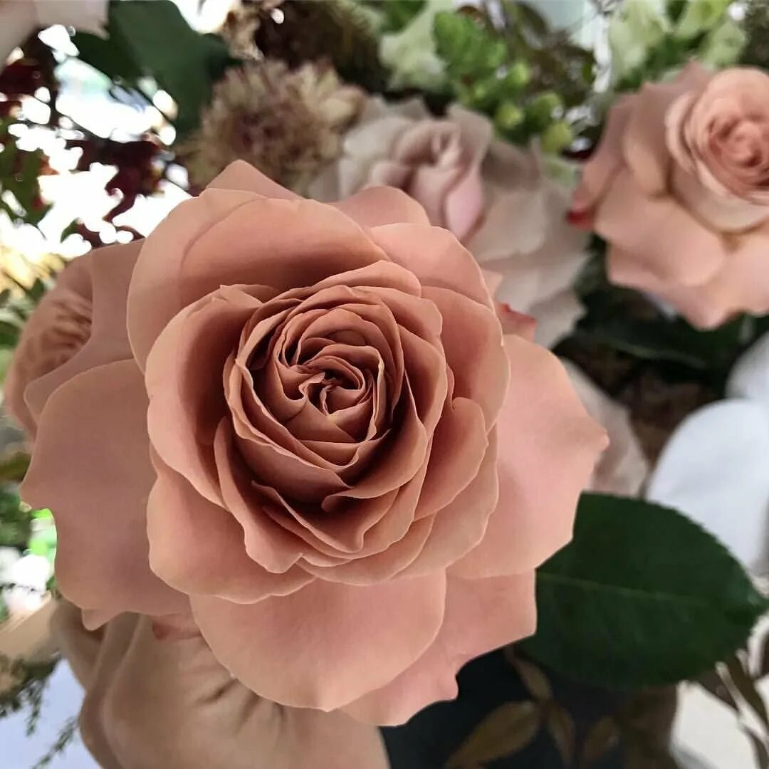 Глянцевые розы