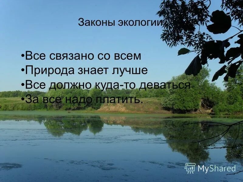 барри коммонер американский биолог. все связано со всем природа лучше знает. все должно куда-то деваться примеры. экологические законы. все связано со всем природа лучше знает.