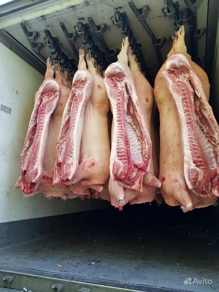закупаем мясо объявления. куда можно сдать мясо свинины. свинина на кости полутуши разруб. закупаем мясо объявления. куда можно сдать мясо свинины.