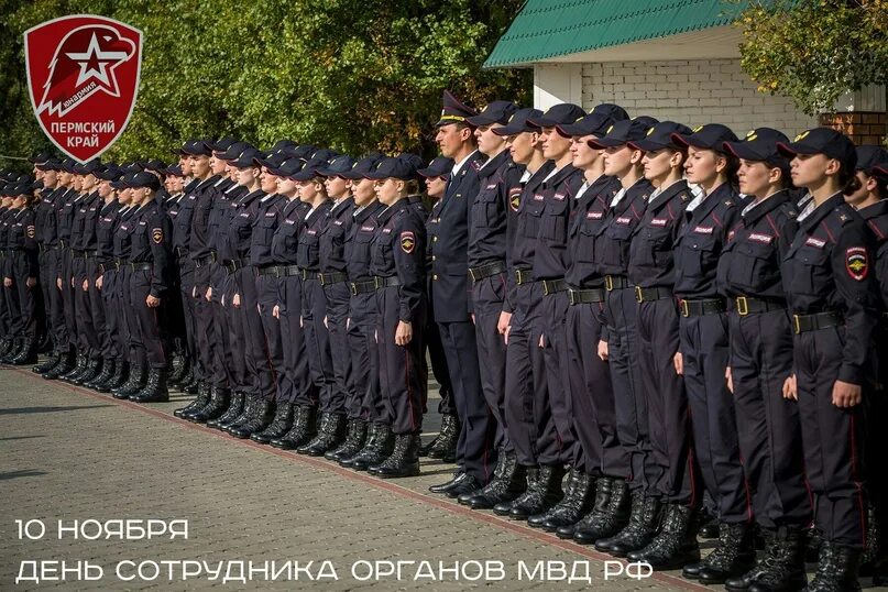 В полицию со средним профессиональным образованием