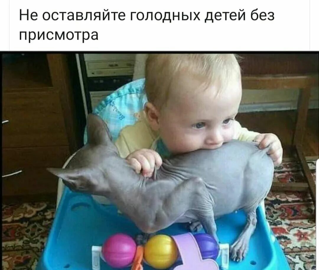 Мама я голодный