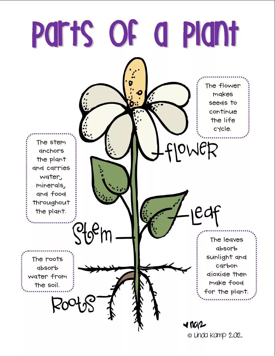 Plants english. Plants на английском для детей. Parts of Plants for Kids. Parts of the Plant Worksheets. Plants растения Worksheets for Kids.