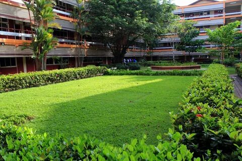 School grounds