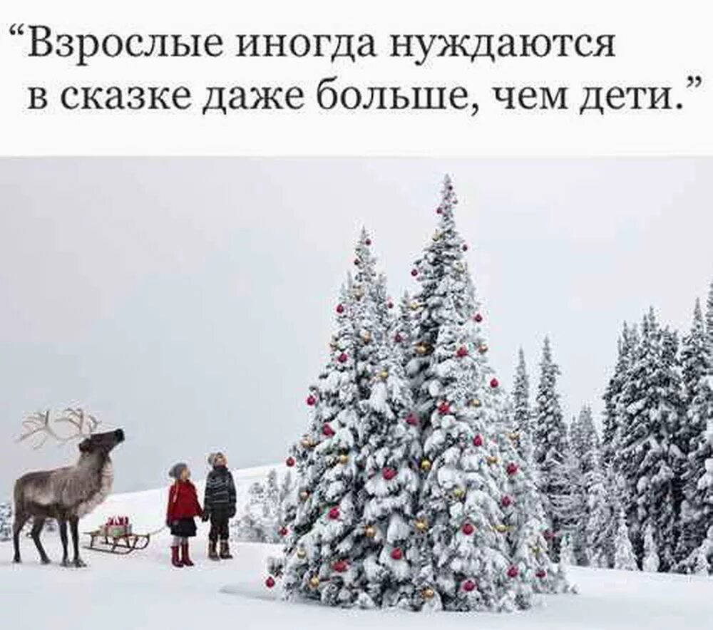 Ты сильная ты справишься. Мудрые изречения. И даже не смей думать. И даже больше вы найдете. И то что быть не может однажды тоже может быть.