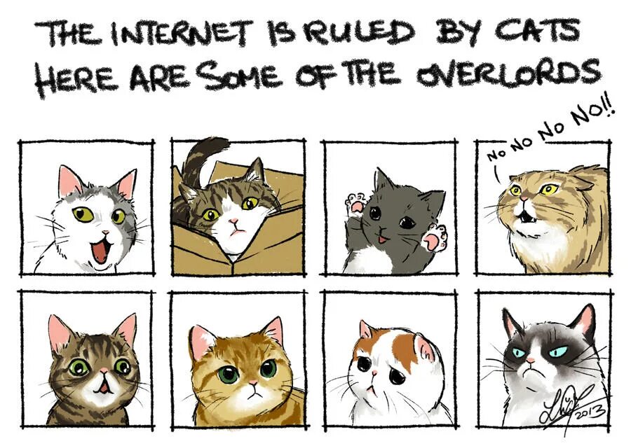 Мемы про котят. Мемы с котиками. Кошечки мемы. Мемы про котов. Классные мемы с котами.