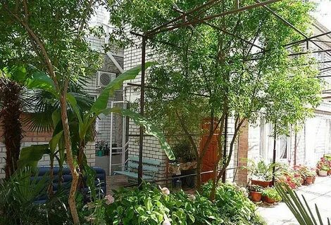 Лазаревское гостевой дом у саши