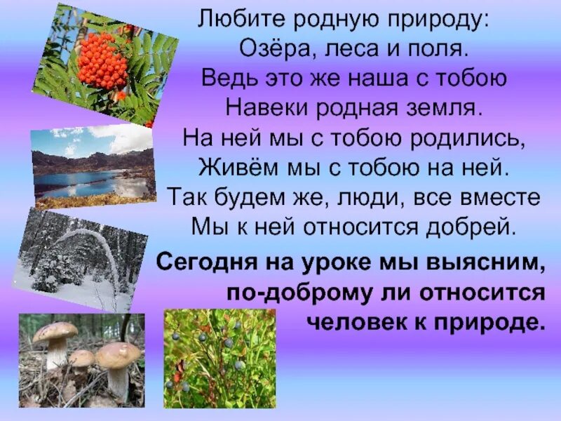 Что по вашему любить природу. Любите родную природу озера леса. Стихотворение любите родную природу озера леса и поля. Стих любите родную природу. Автор стиха любите родную природу.