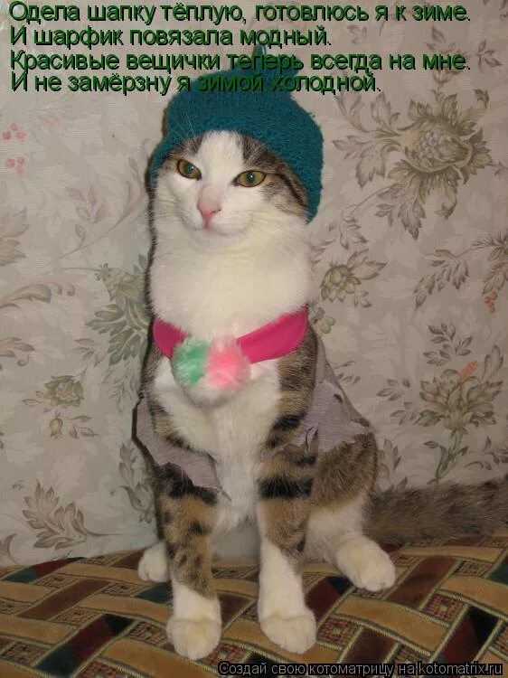 надевайте шапку. я одел шапку. надень шапку или одень. шапку одень прикол. надела шапку или одела.