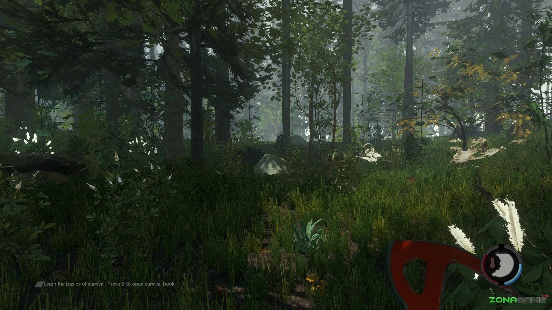 Лагерь плачущий лес на русском андроид. Forest игра. кровать в the forest. лес плачущих деревьев игра. приложение форест деревья.