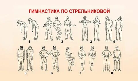 Видео комплекс упражнений гимнастики стрельниковой