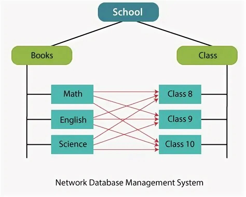 Network model. Network database. network database model. dbms славян. network database model example.