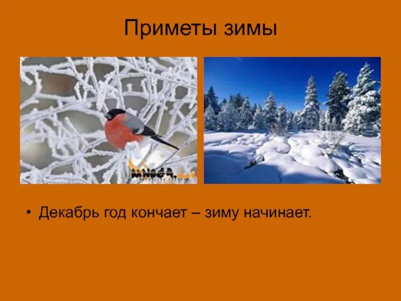 Приметы на зимнюю тему. Приметы зимы. Зимние народные приметы. Интересные приметы зимы. Приметы о зиме 1 класс.