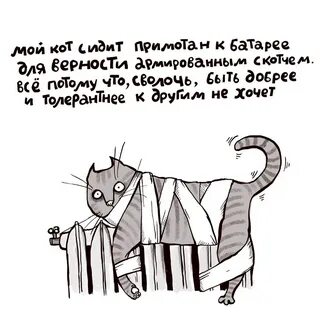 Кот моего бывшего
