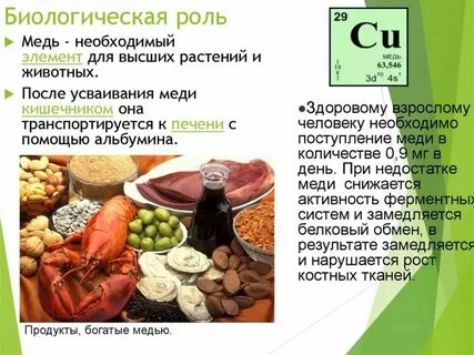 Na биологическая роль