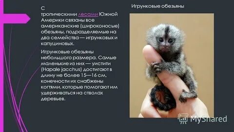 Не малого размера