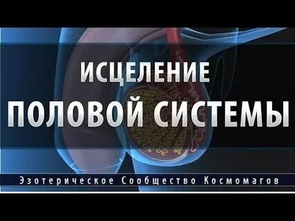 Исцеление мочеполовой системы