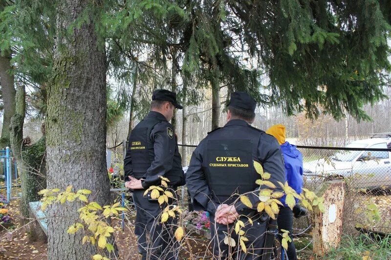 Окуловский районный суд новгородской. Приставы Окуловка. Приставы Великий Новгород.