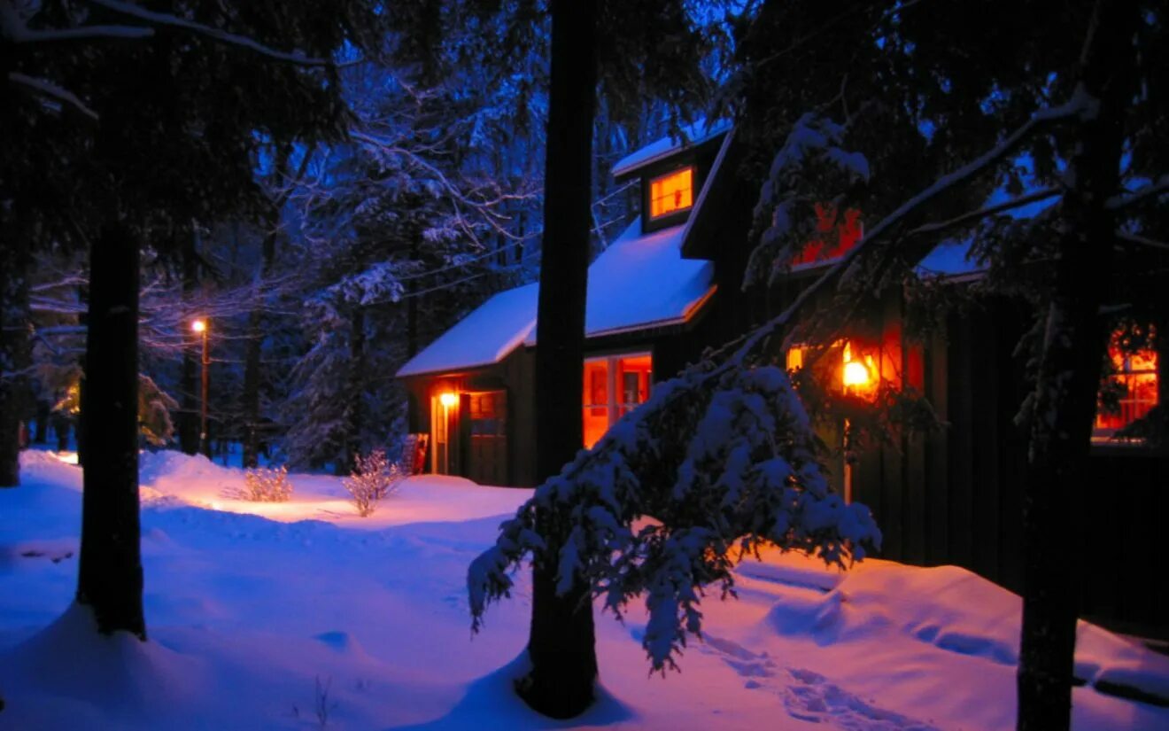 зимний домик вечером. деревня зимой ночью. зимний дачный домик. зимний дом ночью. домик в лесу.