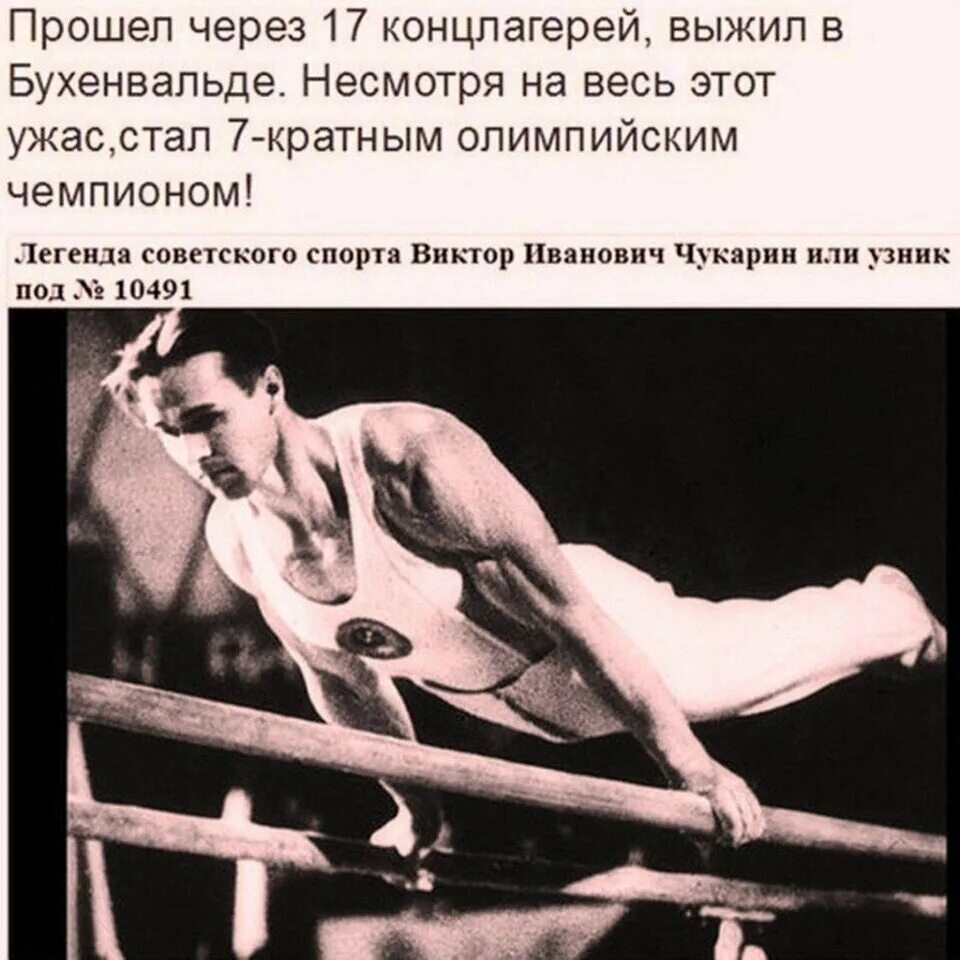 Читать чемпион 1. Чукарин Олимпийский чемпион.