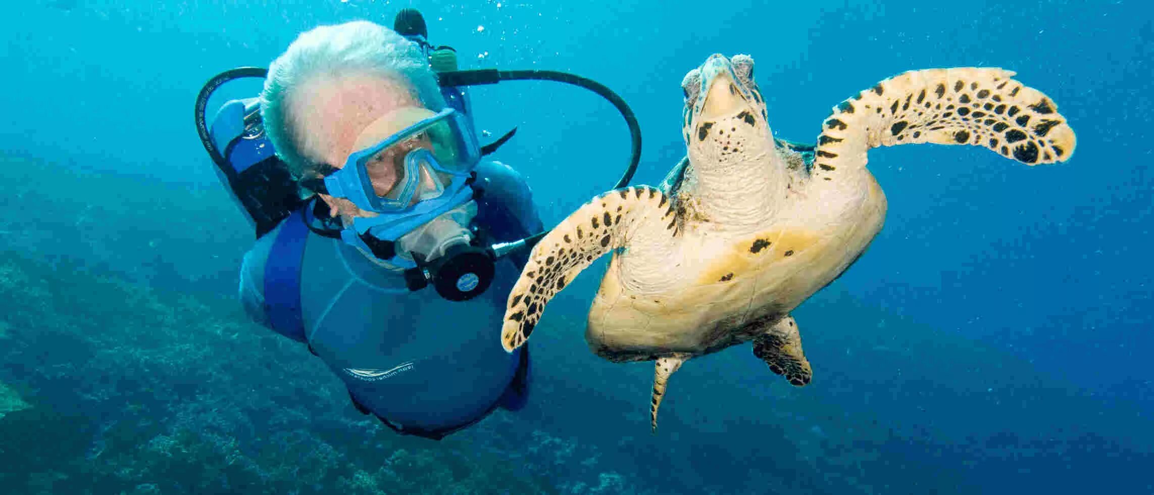 Включи жизнь морских. Включи жизнь морских