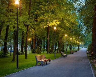 Sofrino park hotel