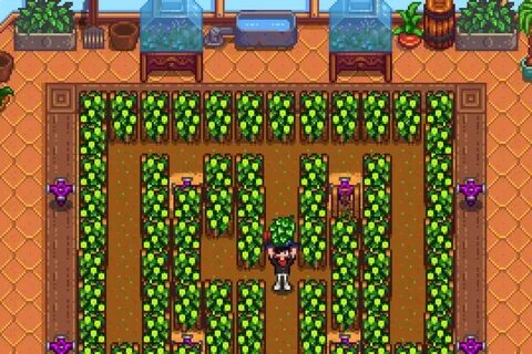 Stardew valley приманки