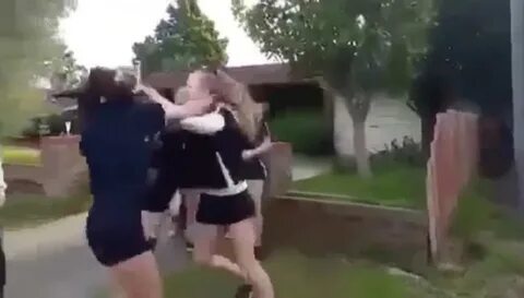 Бой девочек видео