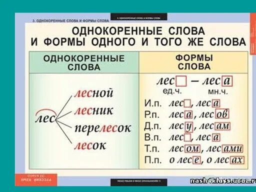 2 изменения одного слова. Форма слова. формы слова и однокоренные слова. форма слова в русском языке. формы слова лес.