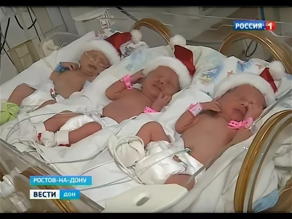 Рожденные в ростове на дону. Рожденные в ростове на дону. Известные люди которые родились в ростове на дону 2024. Рожденные в ростове на дону. Перинатальный центр ростов фото.