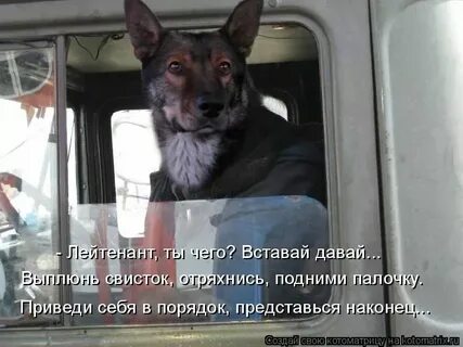Песня ведь сильные люди встают