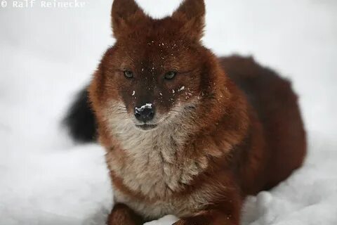 Жақсы сапалы порно онлайн HD