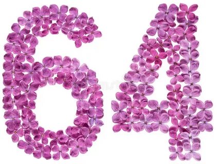 8с 64