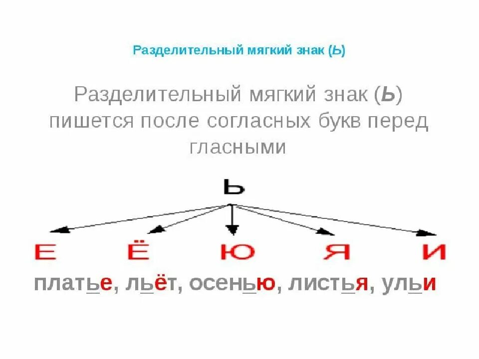 Разделительная функция мягкого знака в слове. Разделительный мягкий знак пишется 2 класс. Русский язык 2 класс правило разделительный мягкий знак. Разделительный ь знак правило 2 класс. Мягкий знак правила 2 класс.