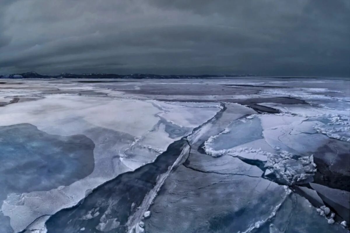 На льдах какого залива обитают белые. Залив Мордвинова Сахалин. Залив Мордвинова лед. Припай льда. Отрыв прибрежных льдов.