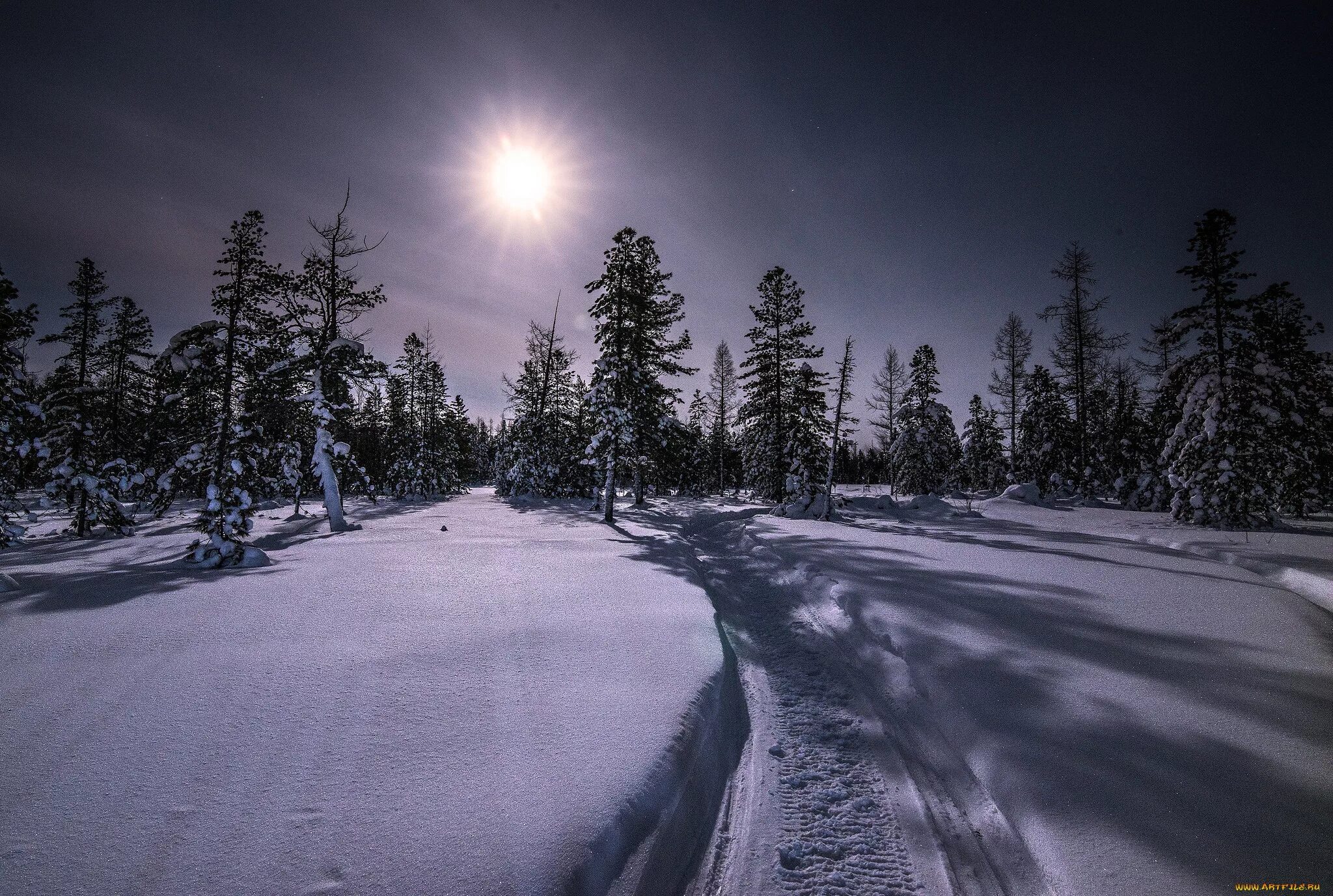 Дорогу в глубоком снегу. Зимний лес ночью. Лес снег ночь. Зима в лесу. Зимний ночной пейзаж.