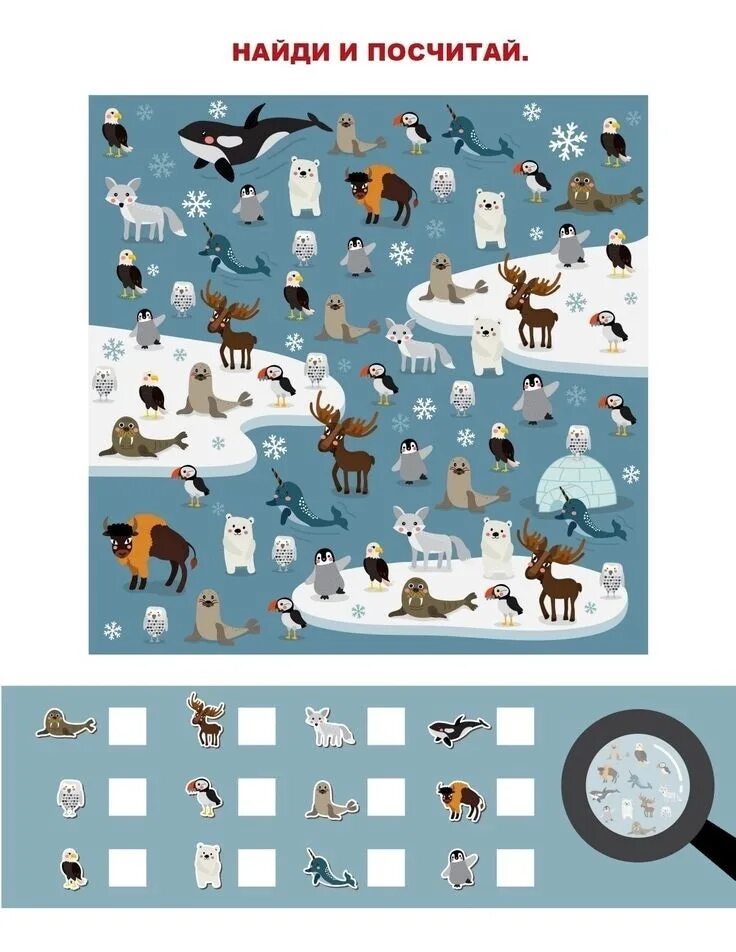 Найди и сосчитай животных. Животные Арктики задания для дошкольников. Северные животные задания для детей. Животные севера задания для дошкольников. Найди и сосчитай