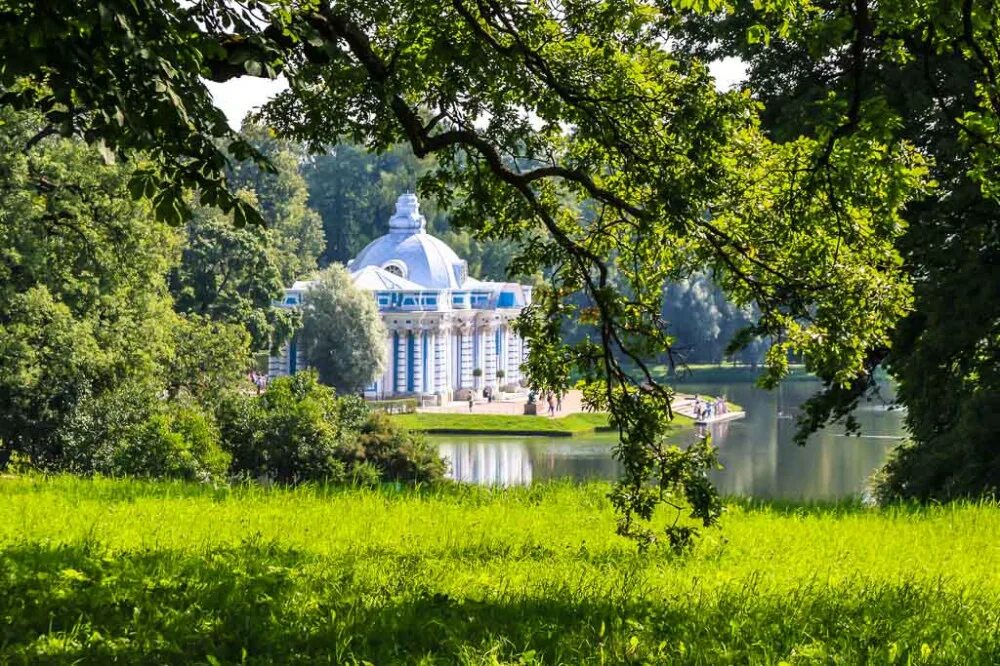 Интернет в пушкине