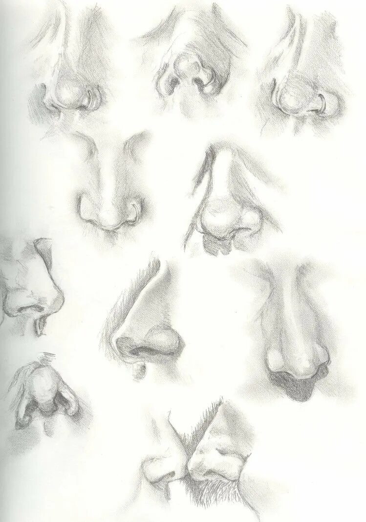 Рисование носа с разных ракурсов. Нос карандашом. Зарисовки носа.