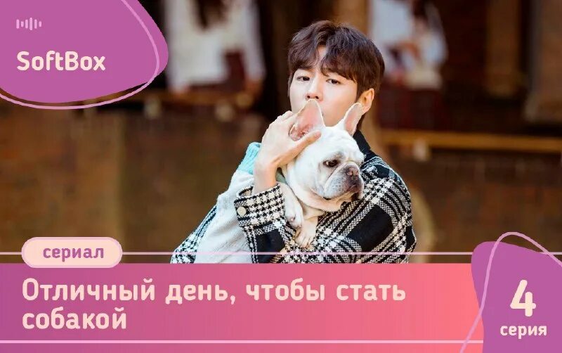 Отличный день чтобы стать собакой софтбокс 4. Отличный день чтобы стать собакой софтбокс 4