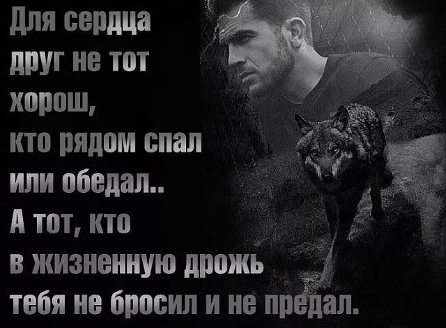 Песня друзья предают