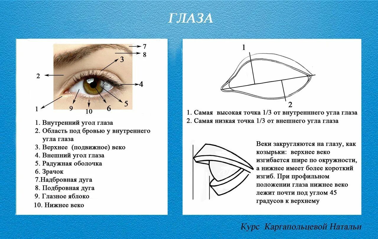 Eye corner. Внешний уголок глаза. Внутренний уголок глаза. Внутренний и внешний уголок глаза. Внутренний угол глаза.