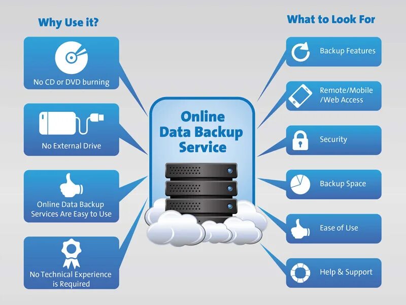 Support t me. Боты в телеграмме. Техподдержка на майке. Support t me. Backup картинка.