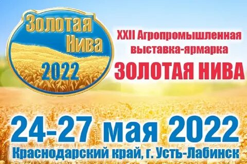 Золотая нива даты