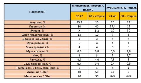 С какого возраста цыплятам можно давать пшеницу